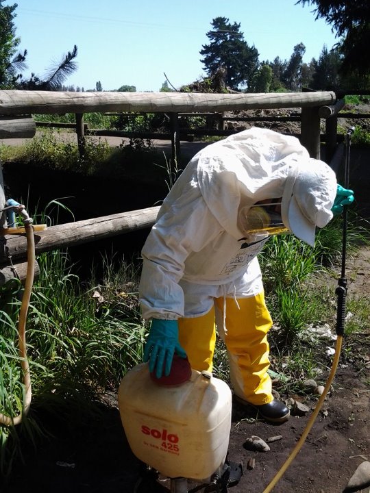 Plaguicidas Oct 2011